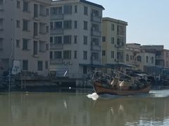 -大湾区中央湿地公园-十九涌