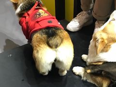 -东浩兰生上海世博展览馆