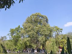 -翠湖公园