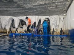 -太平洋海底世界