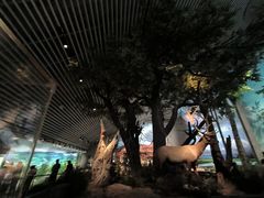 -中国湿地博物馆