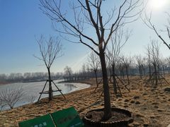 -东郊湿地公园