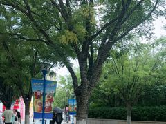 -沈阳方特欢乐世界