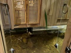 -邈墨茶馆(凤起路店)