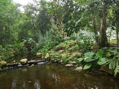 -深圳仙湖植物园
