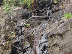 -南京市无想山景区