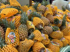 -昆山招商花园城