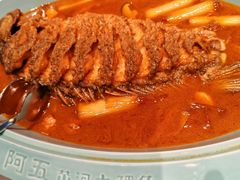 -阿五黄河大鲤鱼(英协路店)