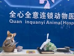 -全心全意连锁动物医院·微创中心·内科急重症·心脏专科(丰管路店)