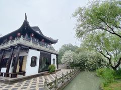 -正宗忘不了老鹅(梅岭店)