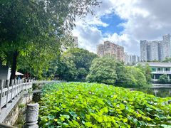 -荔湾湖公园