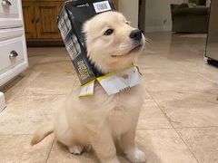 -伙工殿餐厅(吉大店)