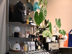 -Dogi&kiki Coffee(中心商务大厦店)