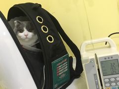 -瑞鹏宠物医院·爱宠堂·骨外专科(西荷分院)