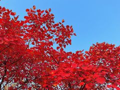 -周口店坡峰岭风景区