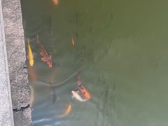-盐官日光域房车营地·有盐餐厅