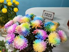 -陶然亭公园