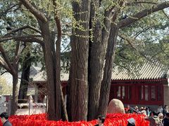 -丽泽山庄·生态怀柔菜·虹鳟鱼(红螺寺店)