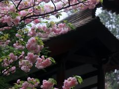 -西安青龙寺遗址景区