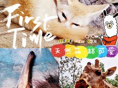 -广州长隆野生动物世界