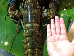 -79号渔船海鲜饭店(华强北店)