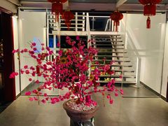 -芽庄MP泰式海鲜海景餐厅