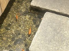 -邈墨茶馆(凤起路店)