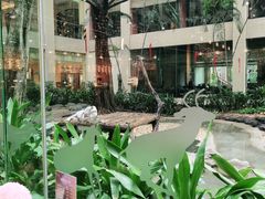 -白虎自助餐厅·真老虎·景观自助餐厅(广州长隆酒店)
