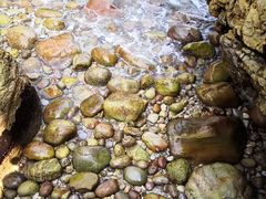 -西涌国际滨海旅游区