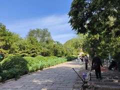 -府君山公园