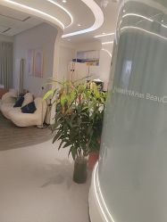 点击看大图 -联合丽格·张菡丽格医疗美容