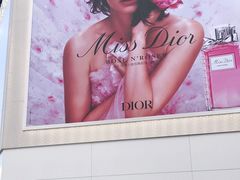 -Dior迪奥(上海世茂广场店)