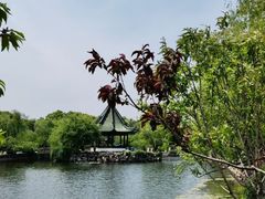 -无锡蠡湖国家湿地公园-蠡园