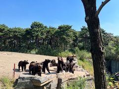 -沈阳森林动物园