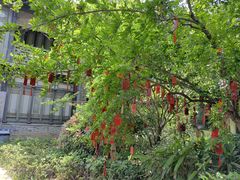 -沈坤状元府景区