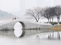-月湖风景区