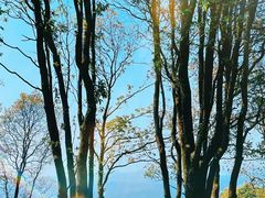 -花都广场