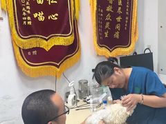 -仁普宠物诊所·中兽医·夜诊·狂犬免疫点(住友昌盛新苑店)