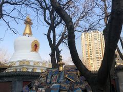 -护国法轮寺