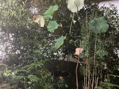 -院子餐厅·大锅菜·老杭帮(桥西直街店)