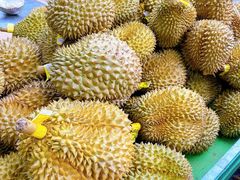 -红星农博物流中心