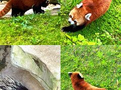 -黔灵山公园