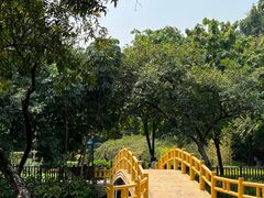 -晓港公园