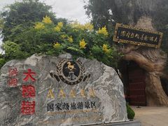 -大槐树寻根祭祖园