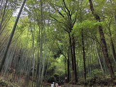 -杭州黄龙洞