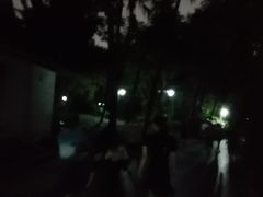 -晓港公园