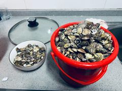 -红树林天天赶海