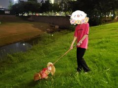 -南京Hallo宠物乐园·哈罗犬舍·柴犬繁育基地
