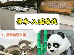 -熊猫谷