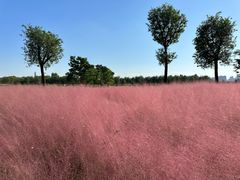 -汉长安城未央宫国家考古遗址公园